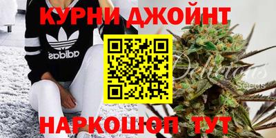 стафф Новокубанск