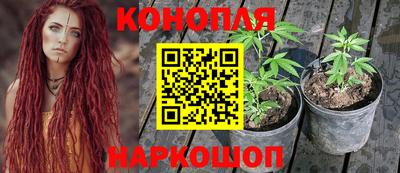 не бодяженный Нальчик
