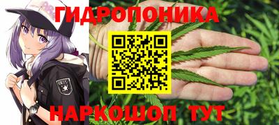 стафф Нарткала