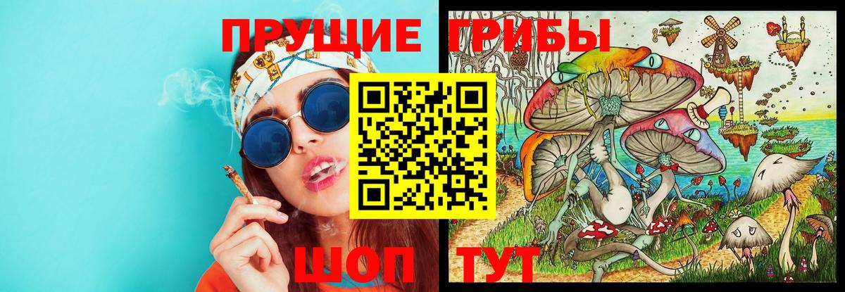 Галлюциногенные грибы Cubensis Курган