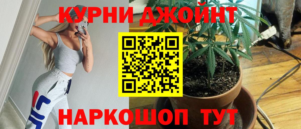 МАРИХУАНА конопля Курган